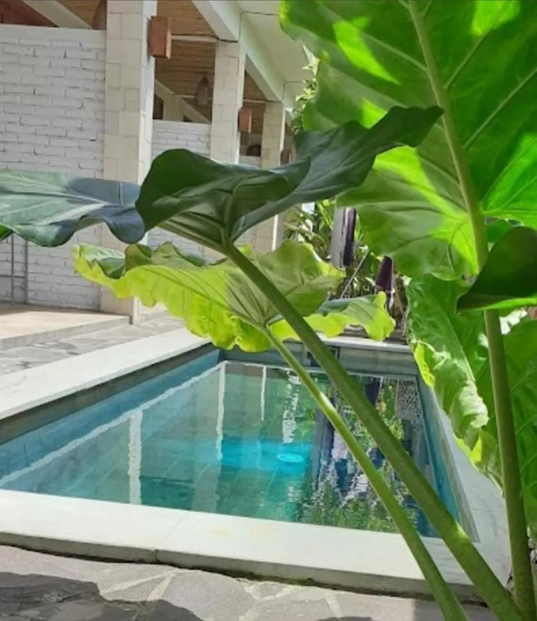 Surya Lombok Accommodation Selong Belanak Eksteriør bilde