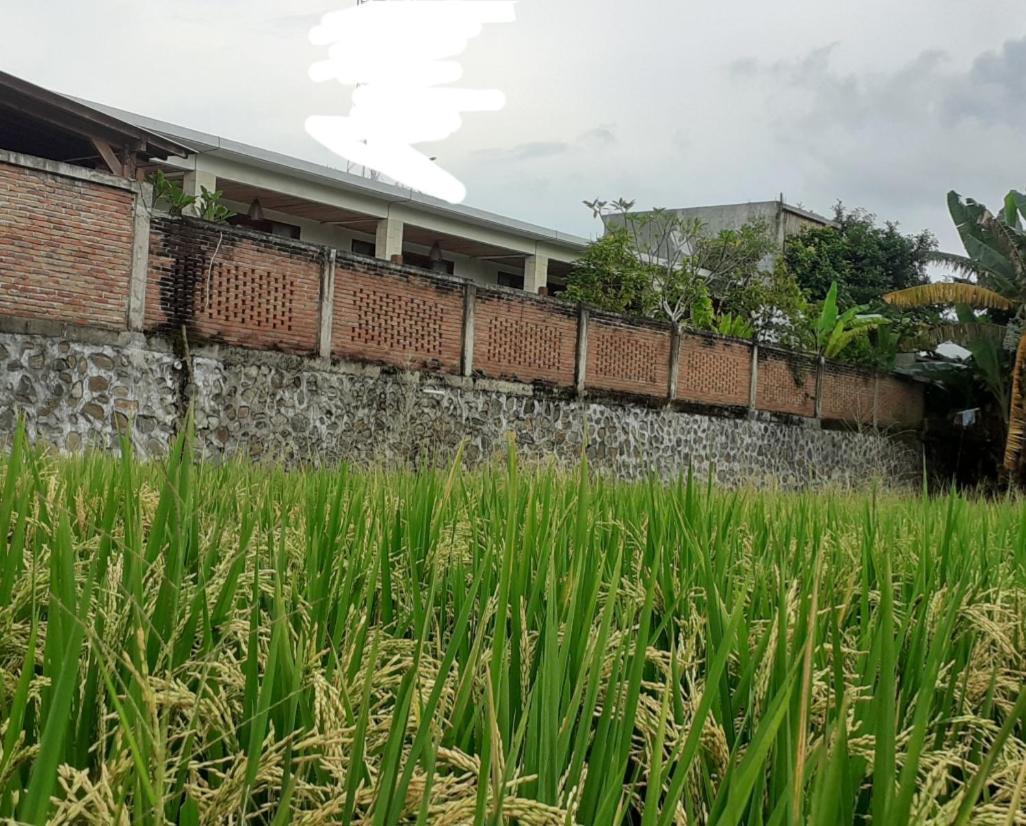 Surya Lombok Accommodation Selong Belanak Eksteriør bilde