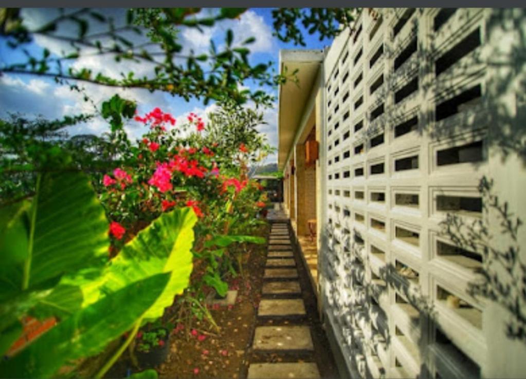 Surya Lombok Accommodation Selong Belanak Eksteriør bilde